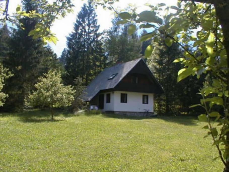 Apartment Lake Bohinj No. 5 外观 照片