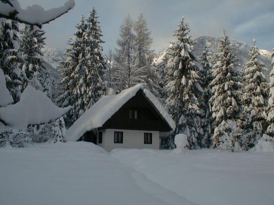 Apartment Lake Bohinj No. 5 外观 照片