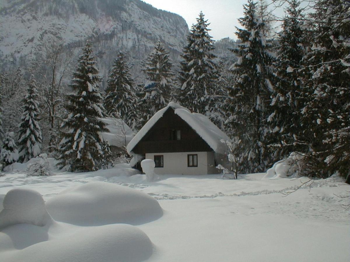 Apartment Lake Bohinj No. 5 外观 照片