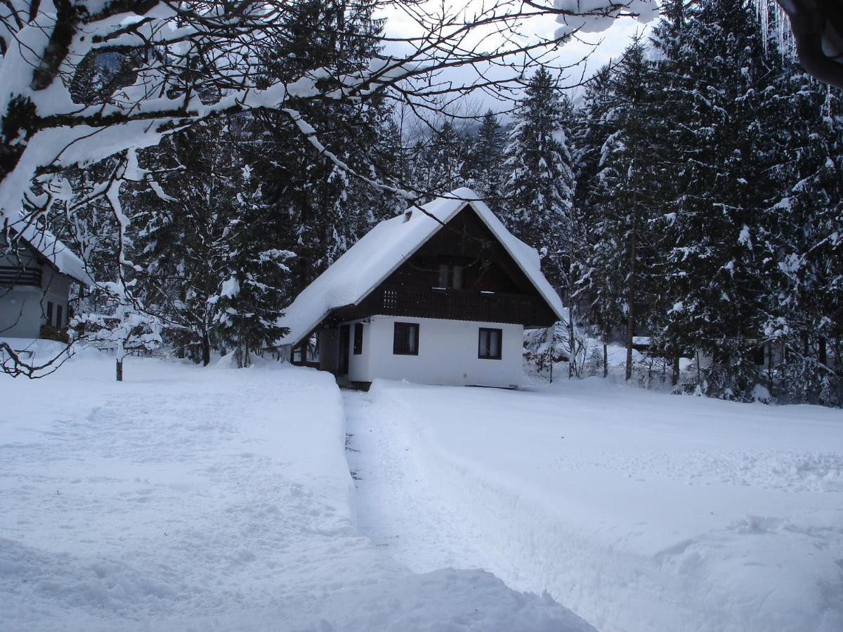 Apartment Lake Bohinj No. 5 外观 照片